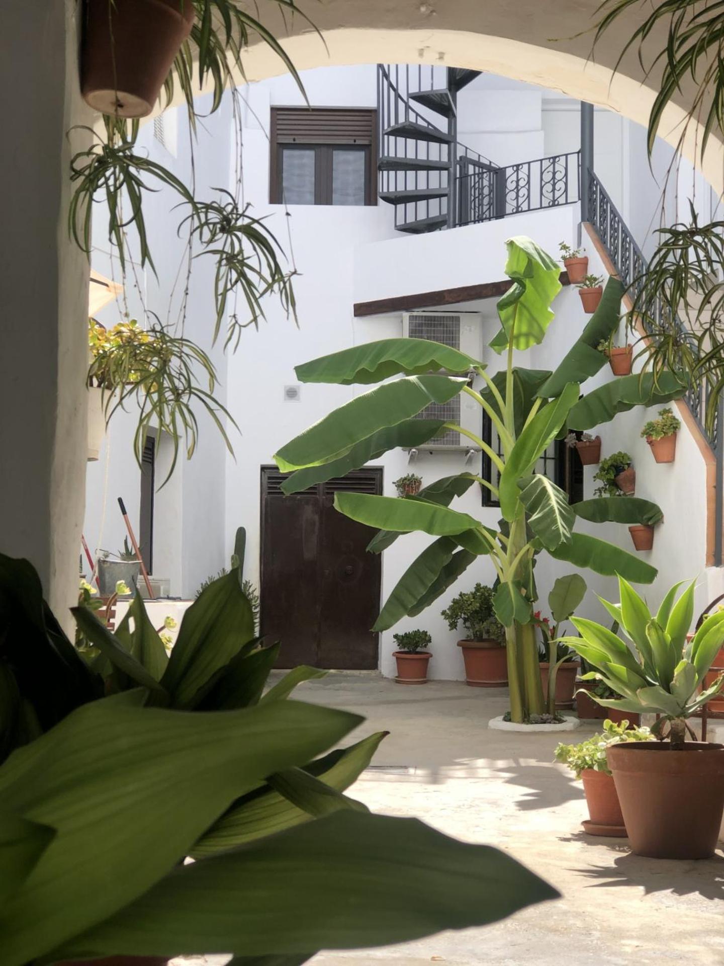 Loft La Abuela Daire Vejer de la Frontera Dış mekan fotoğraf